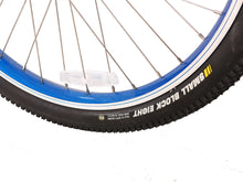 Load image into Gallery viewer, X-Treme Laguna Beach Cruiser - Electric Bicycle - 48 Volt - Long Range - Comfort Bike